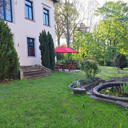 Gaestehaus Villa Seraphinum Дрезден Екстер'єр фото
